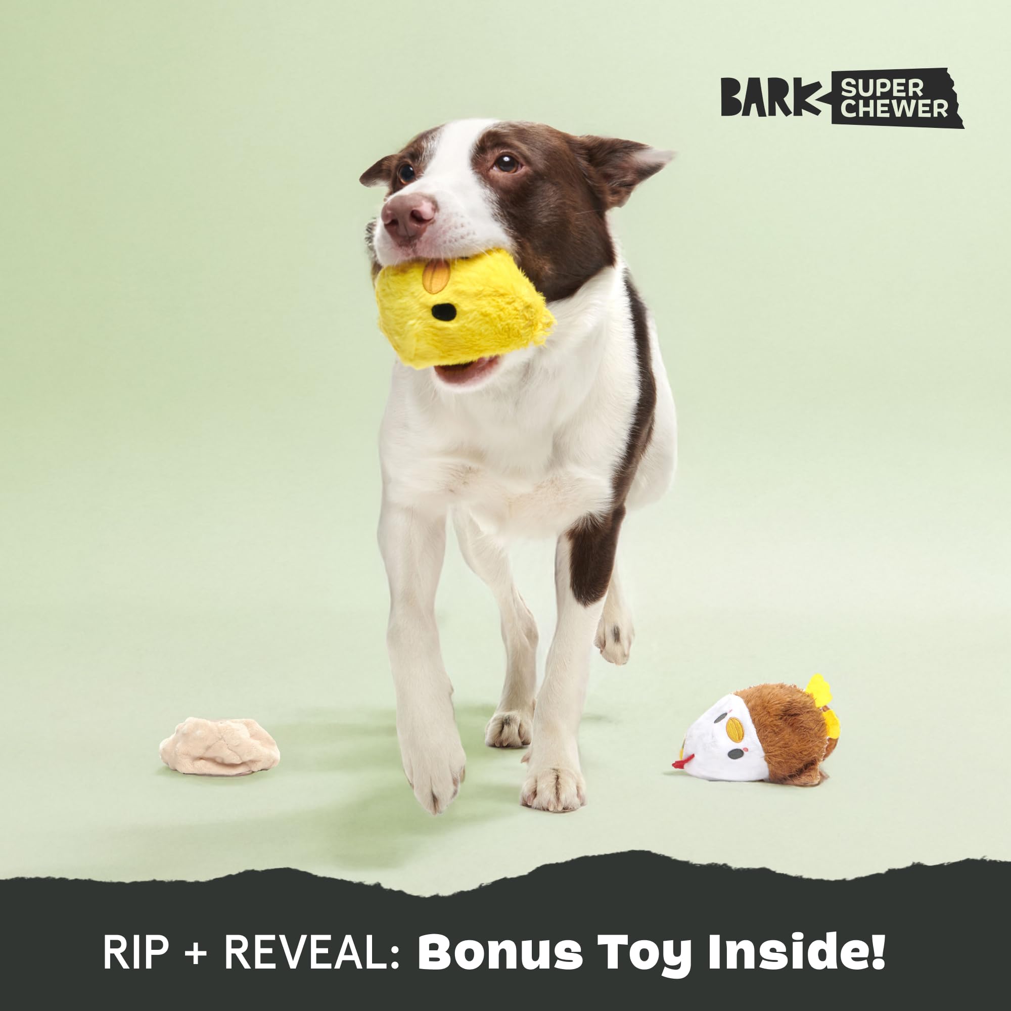 Hidden rubber ball inside for fetch-focused play and lasting fun