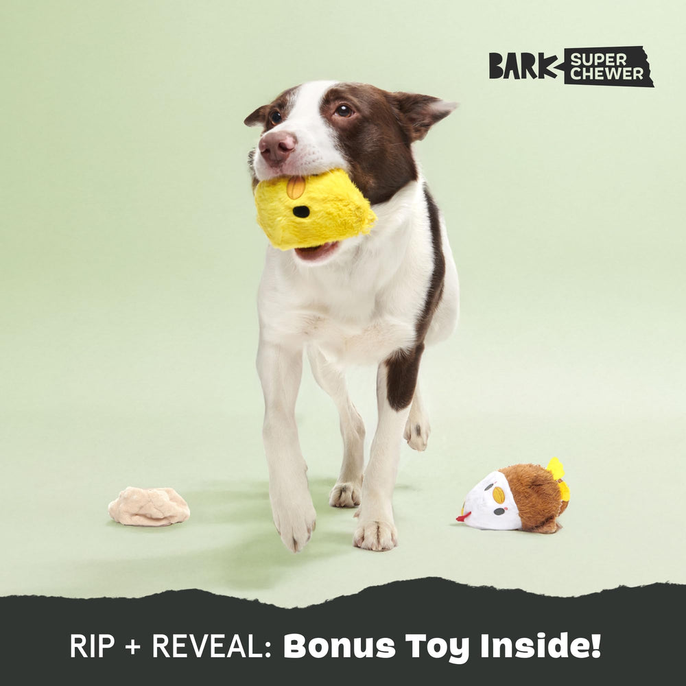 Hidden rubber ball inside for fetch-focused play and lasting fun