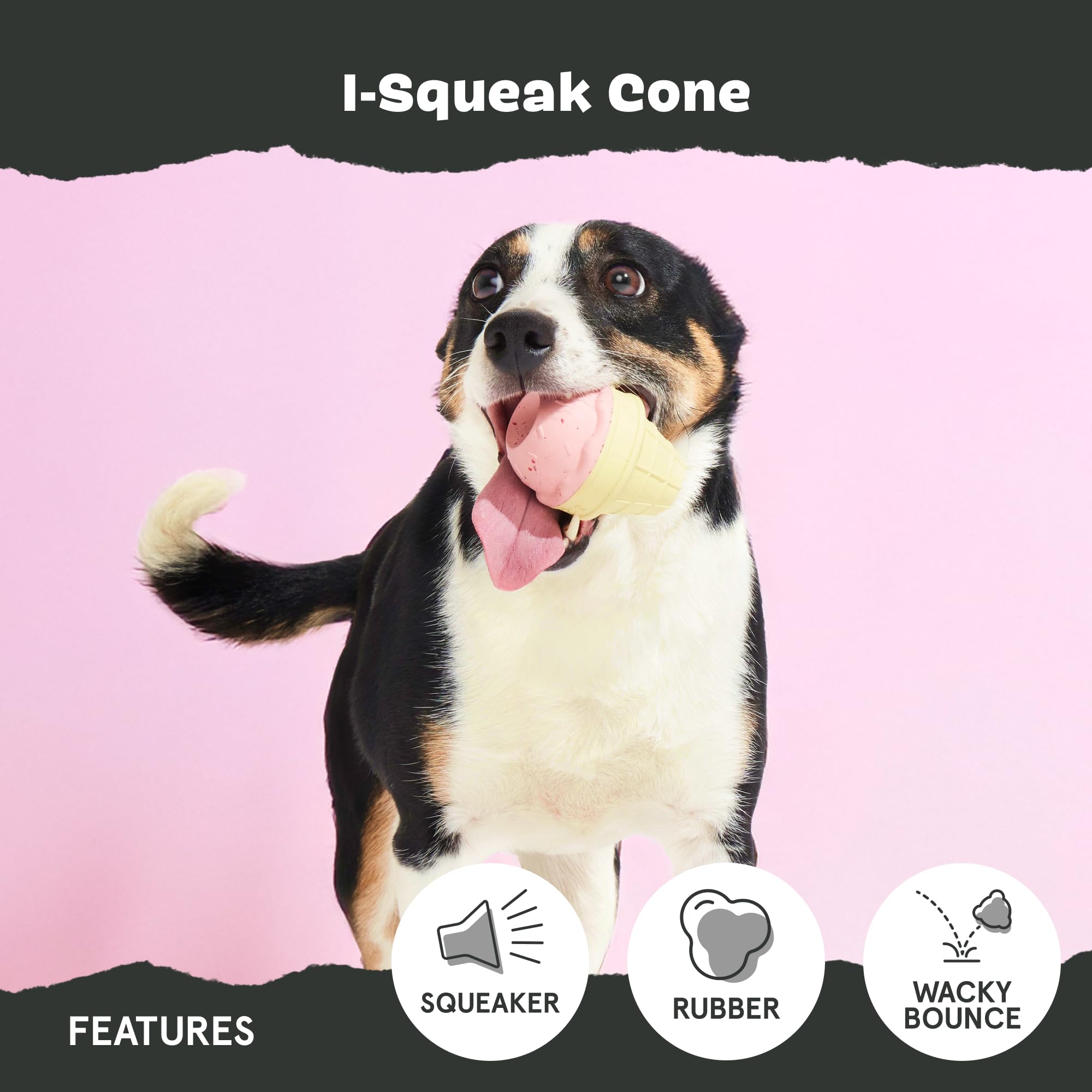 BarkBox I-Squeak Cone has a wacky bounce for extra challenge.
