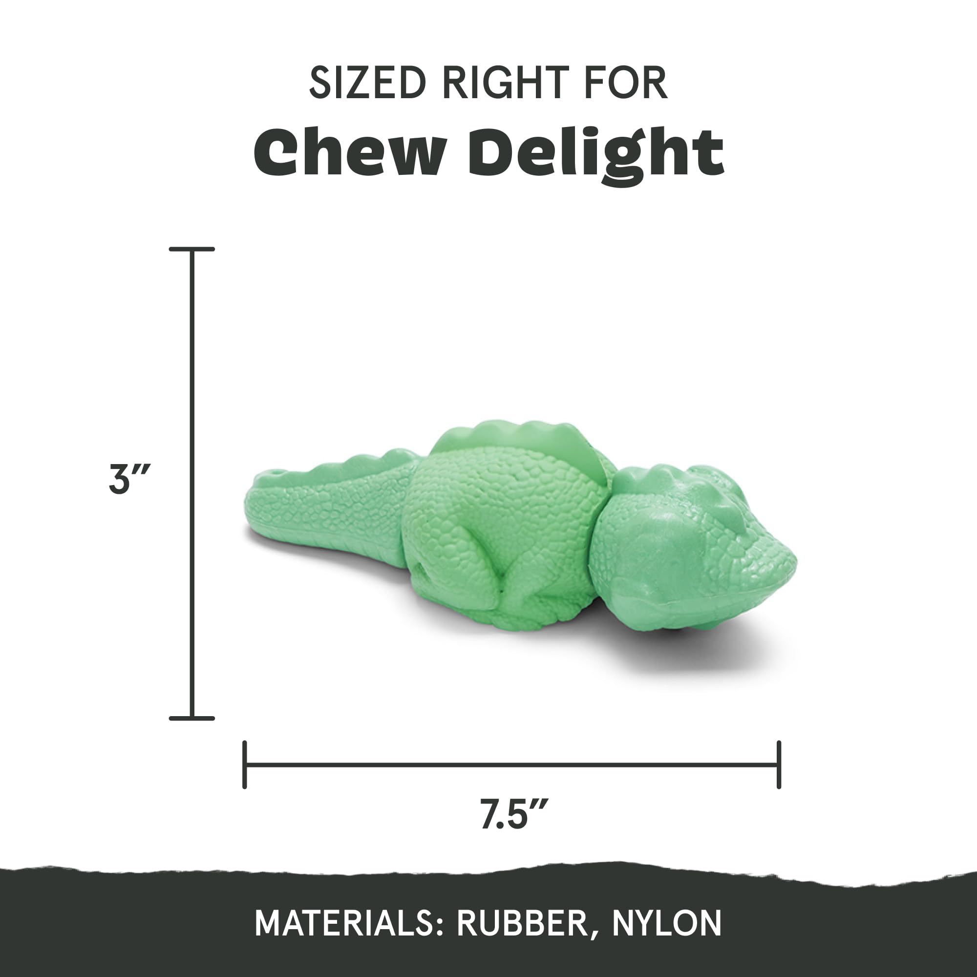 BarkBox Iguana overmold nylon-rubber construction promotes lasting chew sessions