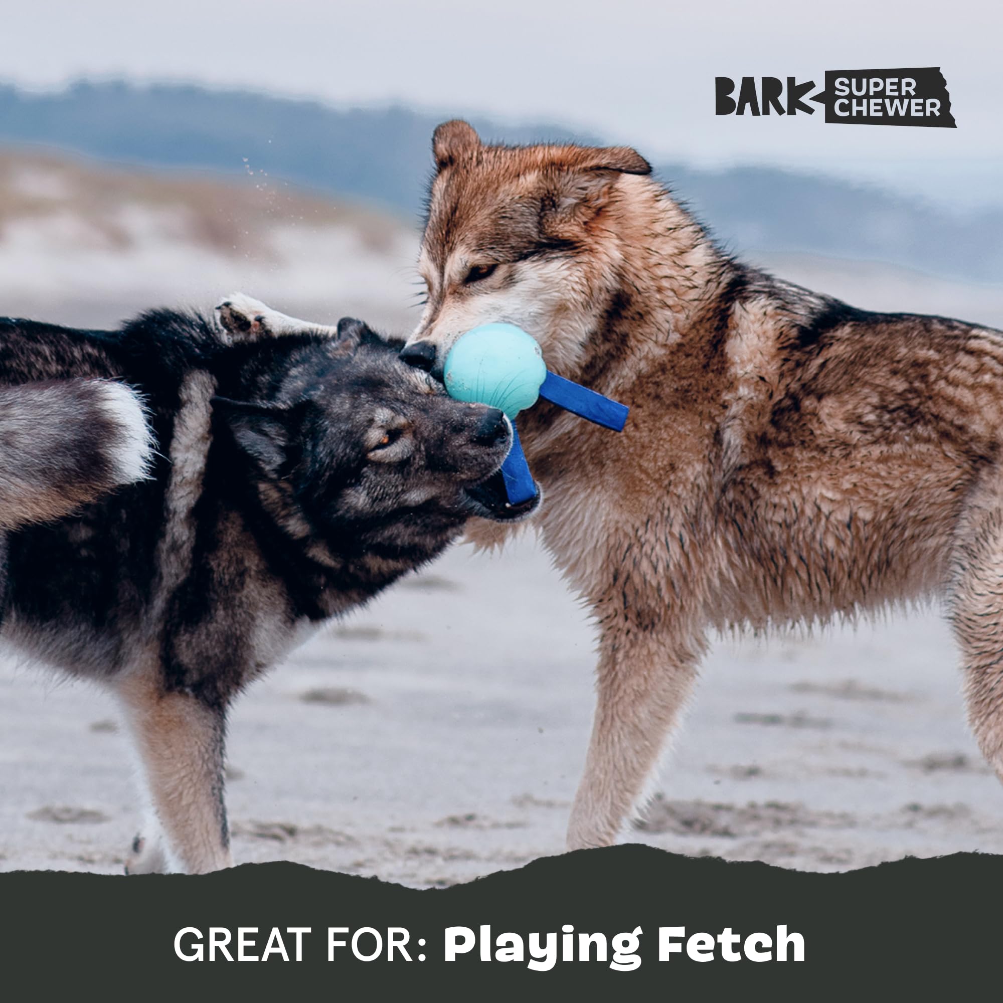 Bright jellyfish design makes fetch sessions more exciting for dogs.