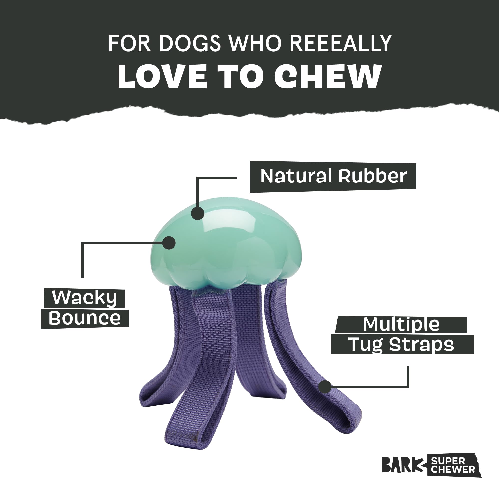 Jelly Fetch glows in the dark after sun exposure for extended playtime.