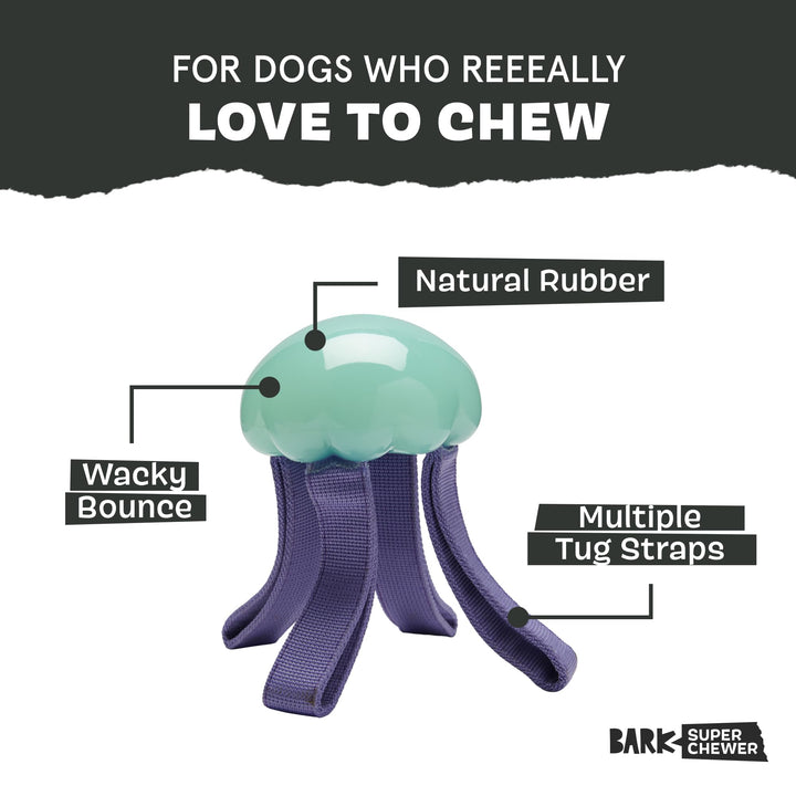 Jelly Fetch glows in the dark after sun exposure for extended playtime.