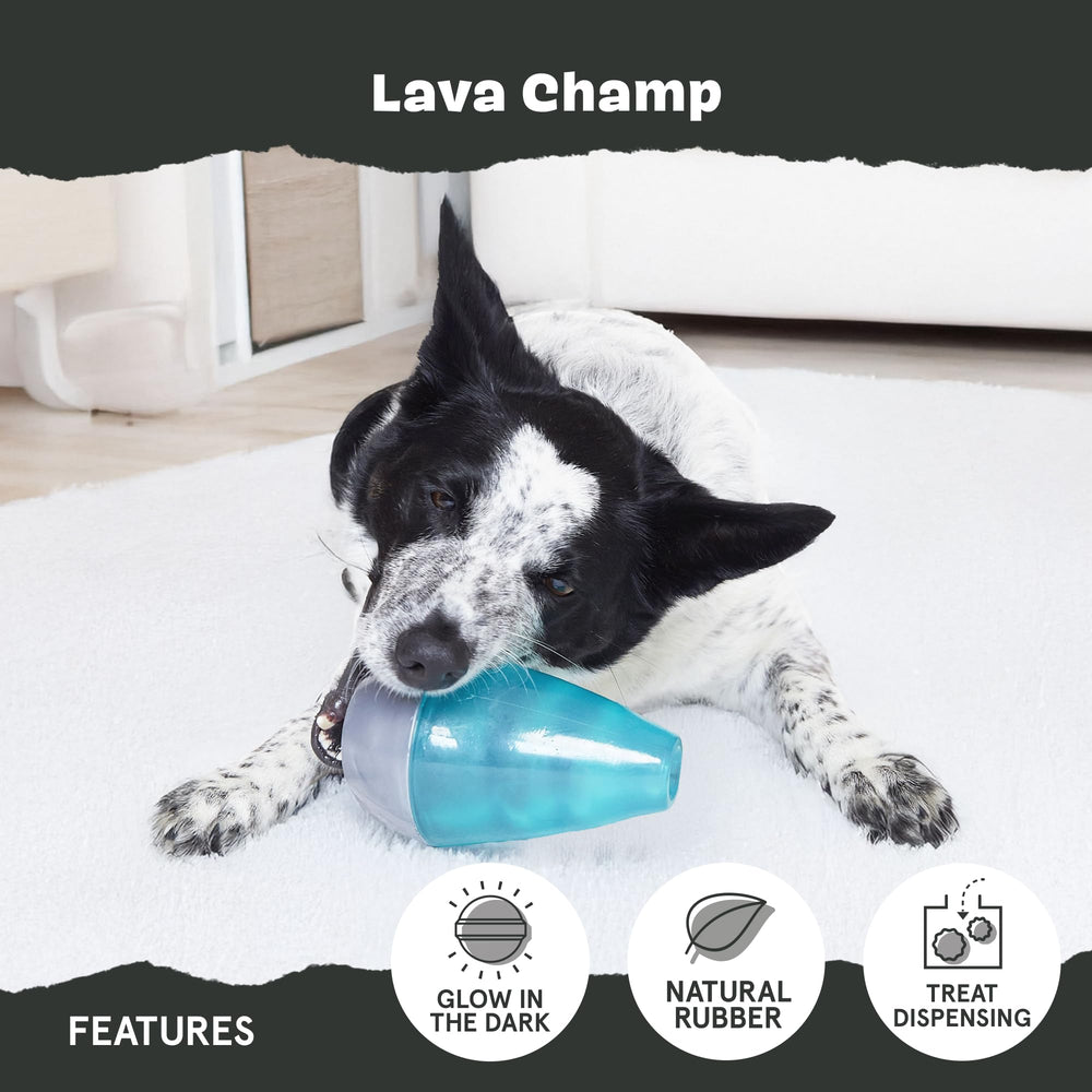 Lava Champ wacky bounce adds unpredictable motion for active pups