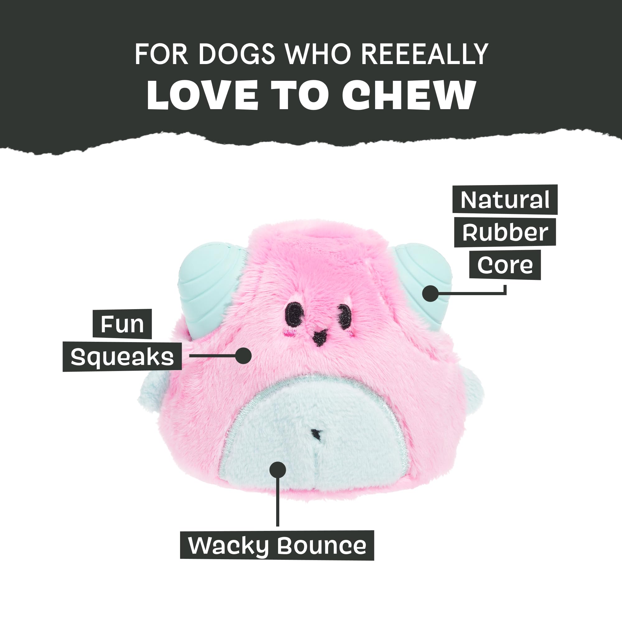 Unpredictable bounce of Lover Beast keeps dogs curious and active