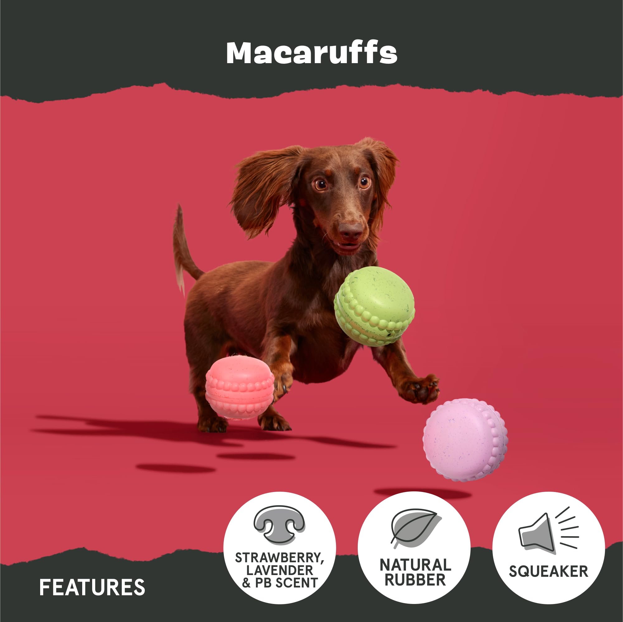Barkbox Macaruffs lavender-scent close-up for scent-driven toy fun.