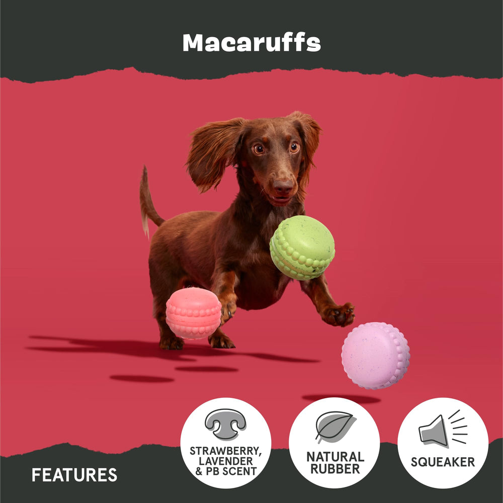 Barkbox Macaruffs lavender-scent close-up for scent-driven toy fun.