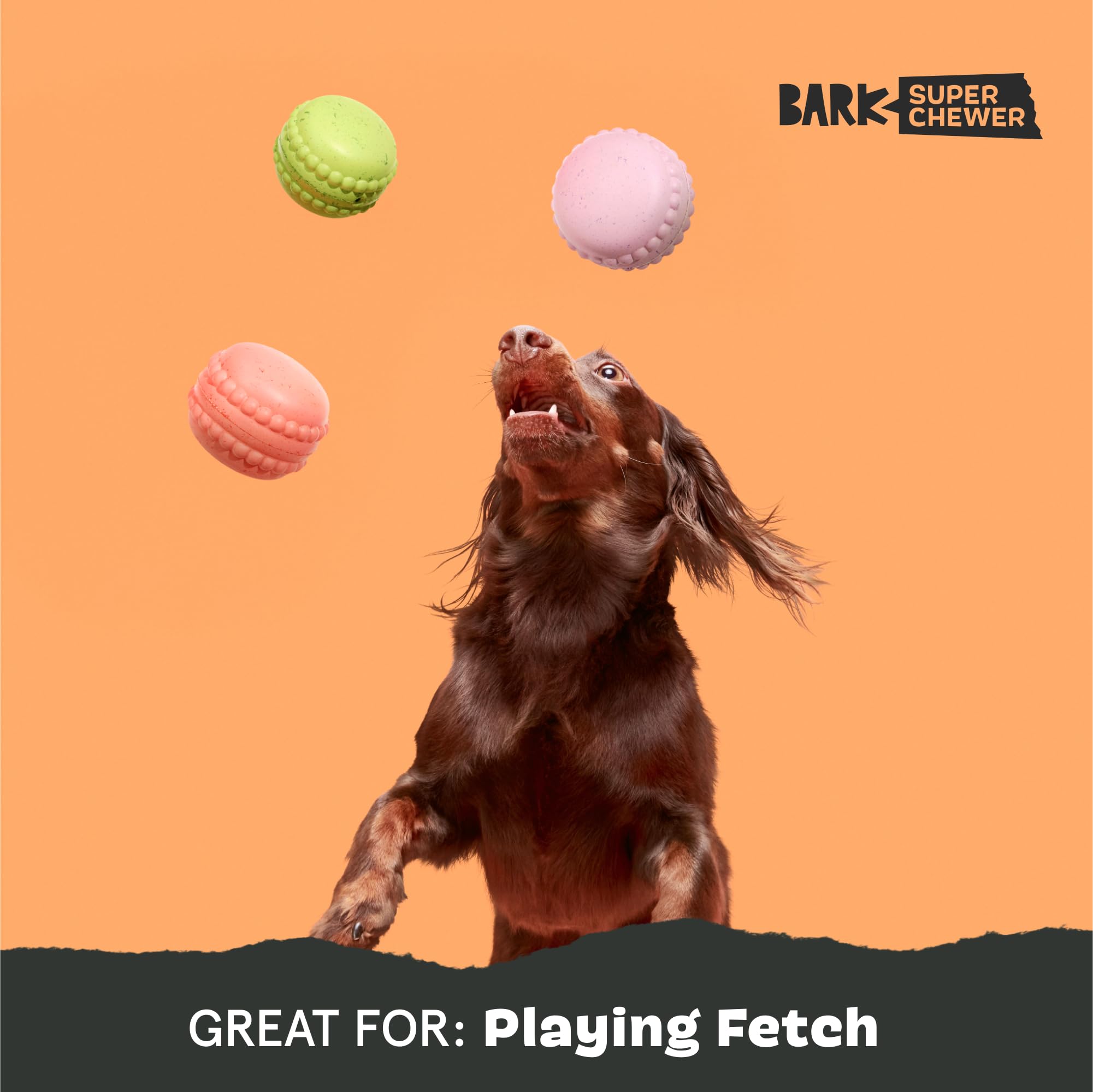 Barkbox Macaruffs peanut-butter scent close-up tempts noses during fetch.
