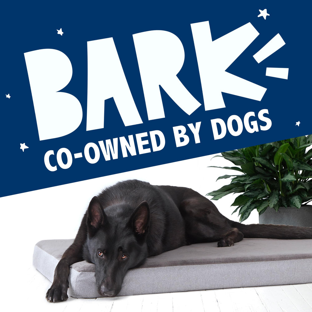 Barkbox modern grey design blends with home decor while supporting pet comfort.