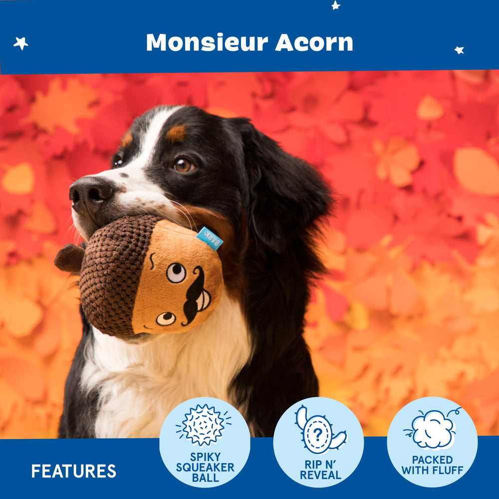 Monsieur Acorn tear-toy reveal showing a second toy inside for variety.