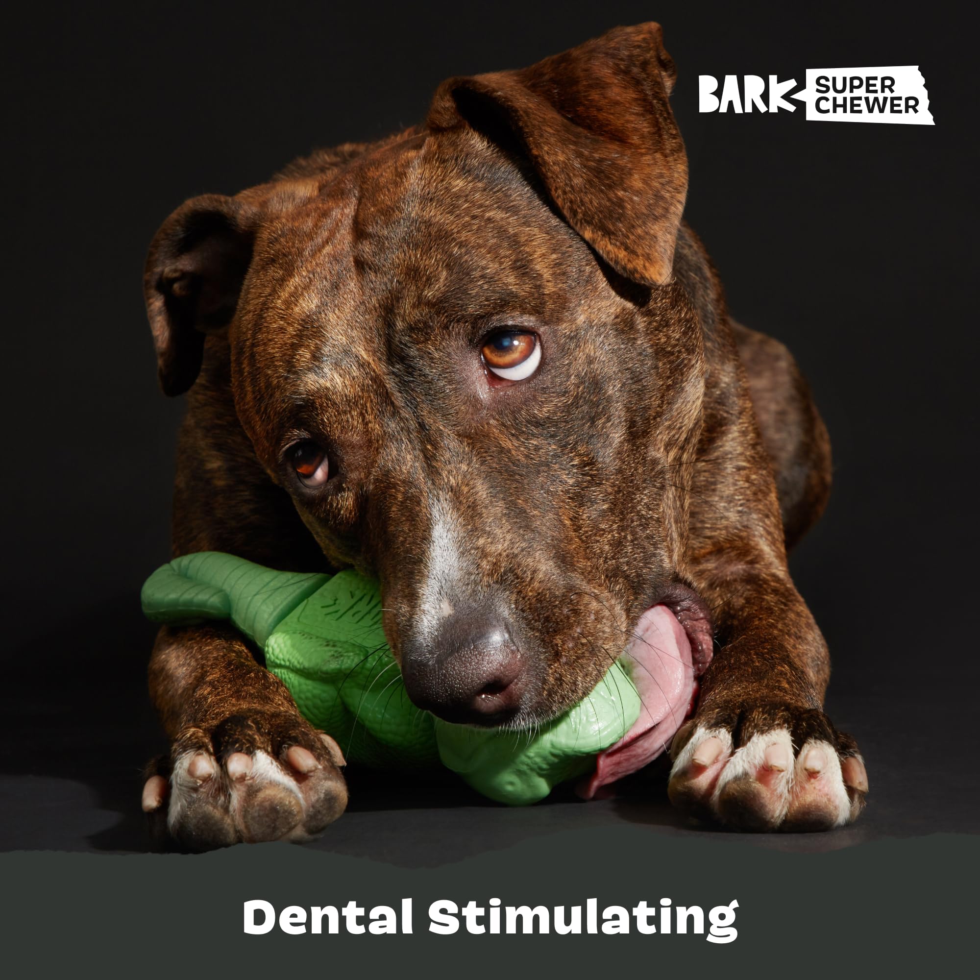 BarkBox No-mess design excludes rope or plush for easy cleanup