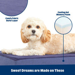 Barkbox Orthopedic Bed showing 35 by 22 by 3 inch dimensions for large dogs.