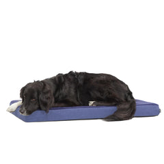 Barkbox Orthopedic Bed memory foam close-up highlighting contouring support for joints.
