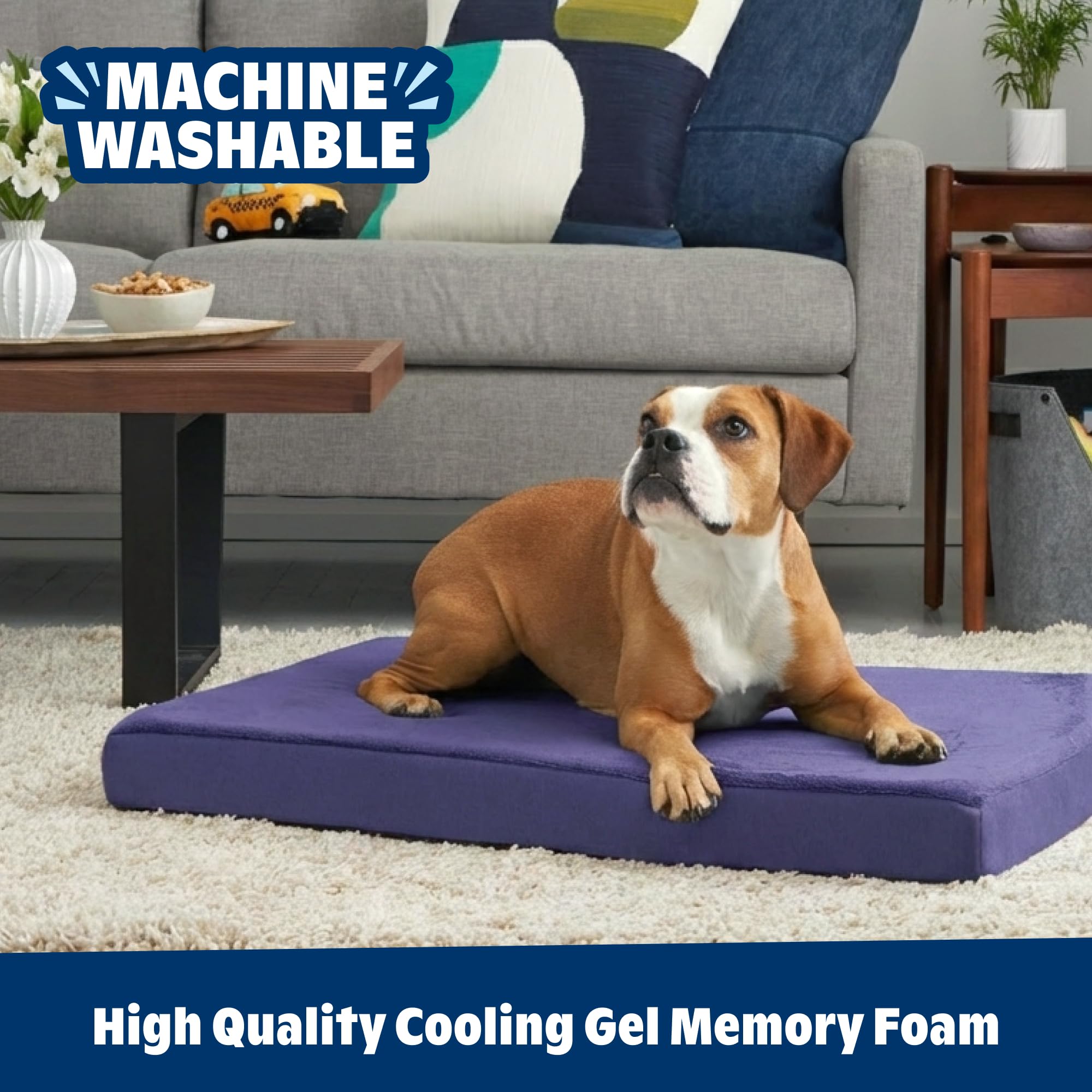 Barkbox Orthopedic Bed suitable for puppies and seniors, offering supportive lounging.