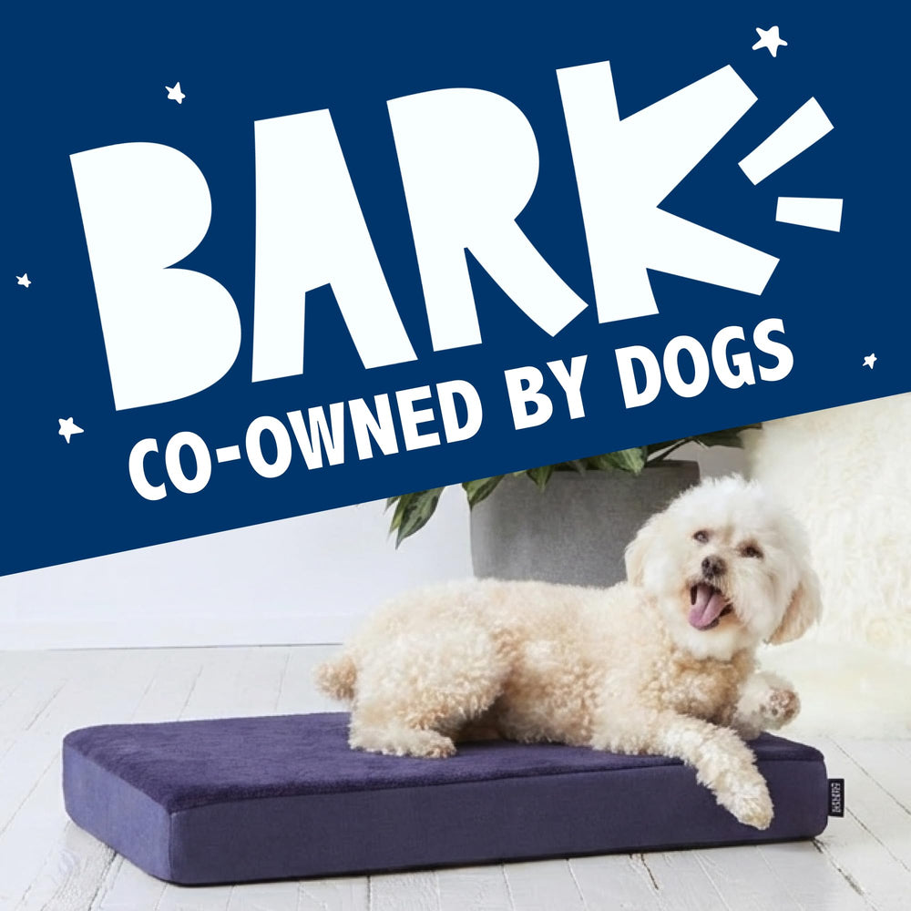 Barkbox Orthopedic Bed with washable cover supports daily use and crate training.