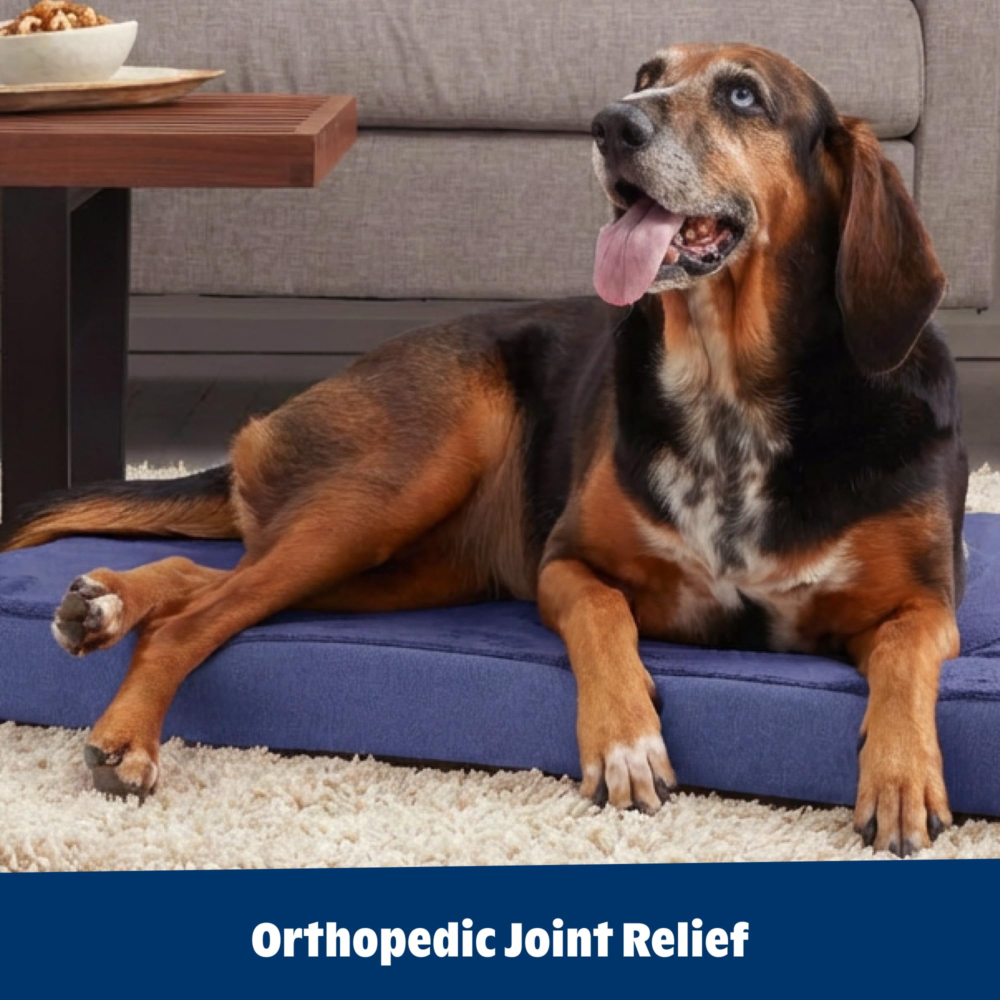 Barkbox Orthopedic Bed with water-resistant cover for easy cleaning.