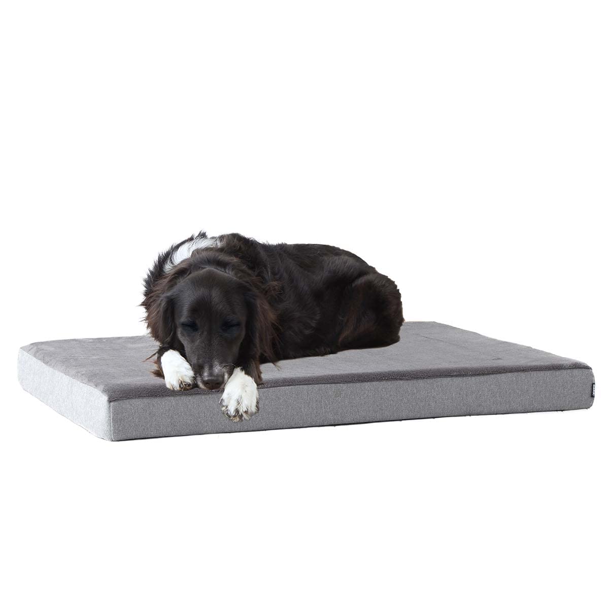 Barkbox orthopedic dog bed with memory foam contours to joints for comfort.