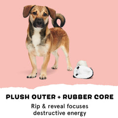 Barkbox Panda plush exterior paired with robust core for stimulation.