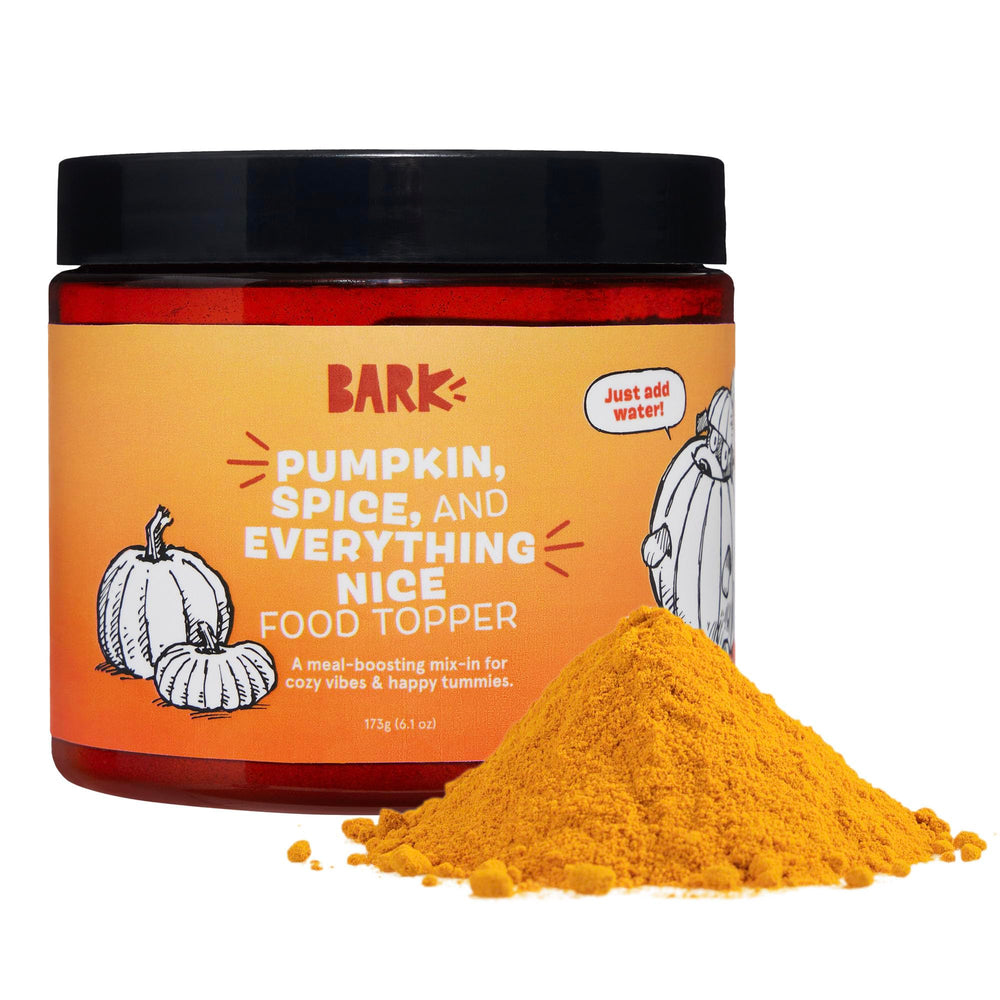 Barkbox pumpkin-spice-digestive-topper-broth-powder poured over kibble for a cozy meal boost.