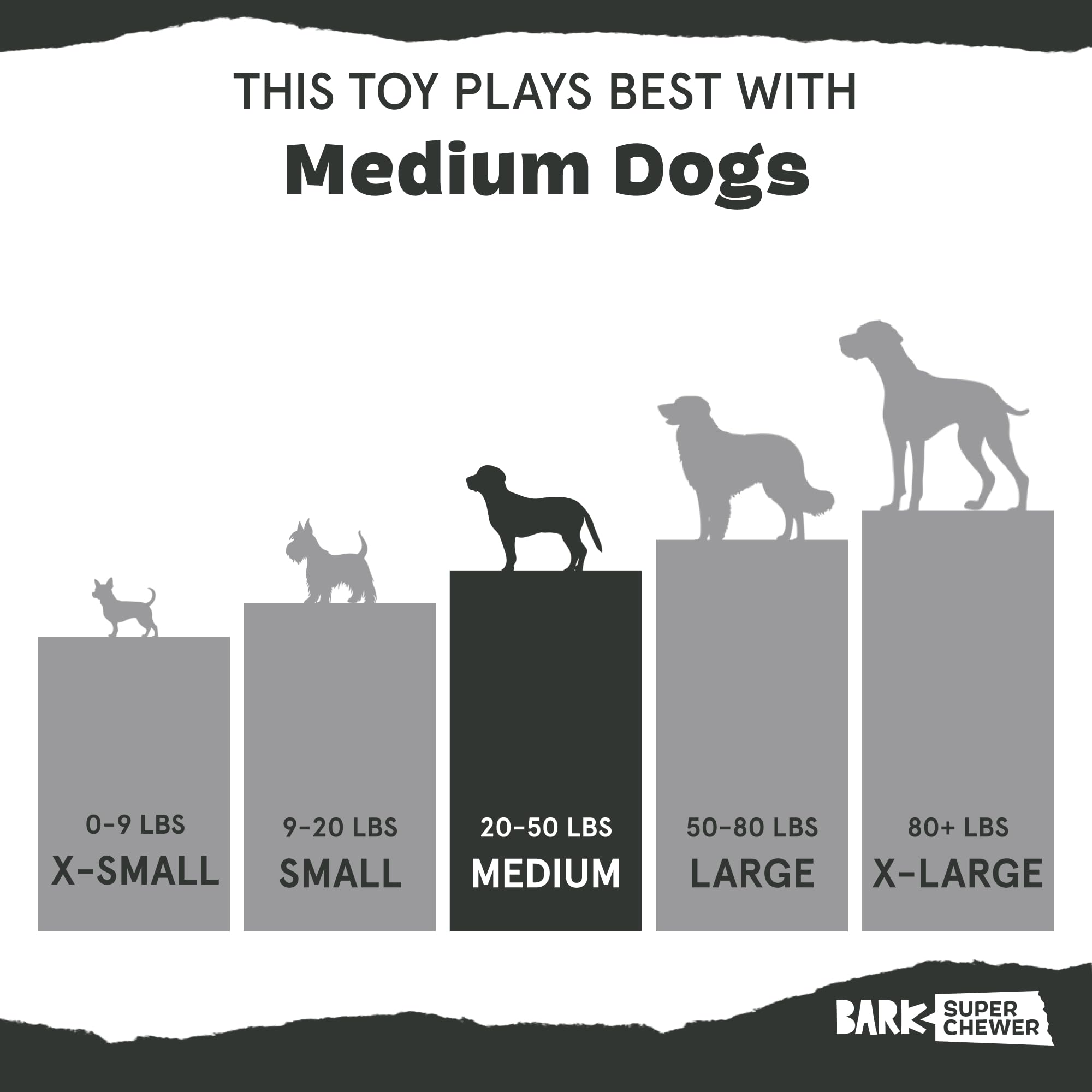 BarkBox Rad Herring no rope, stuffing, or plush for mess-free play