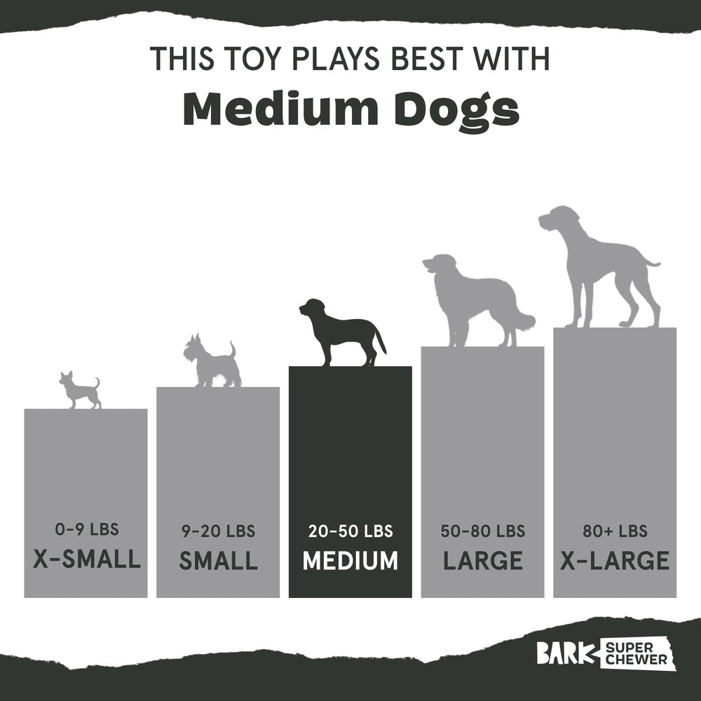 BarkBox Rad Herring no rope, stuffing, or plush for mess-free play