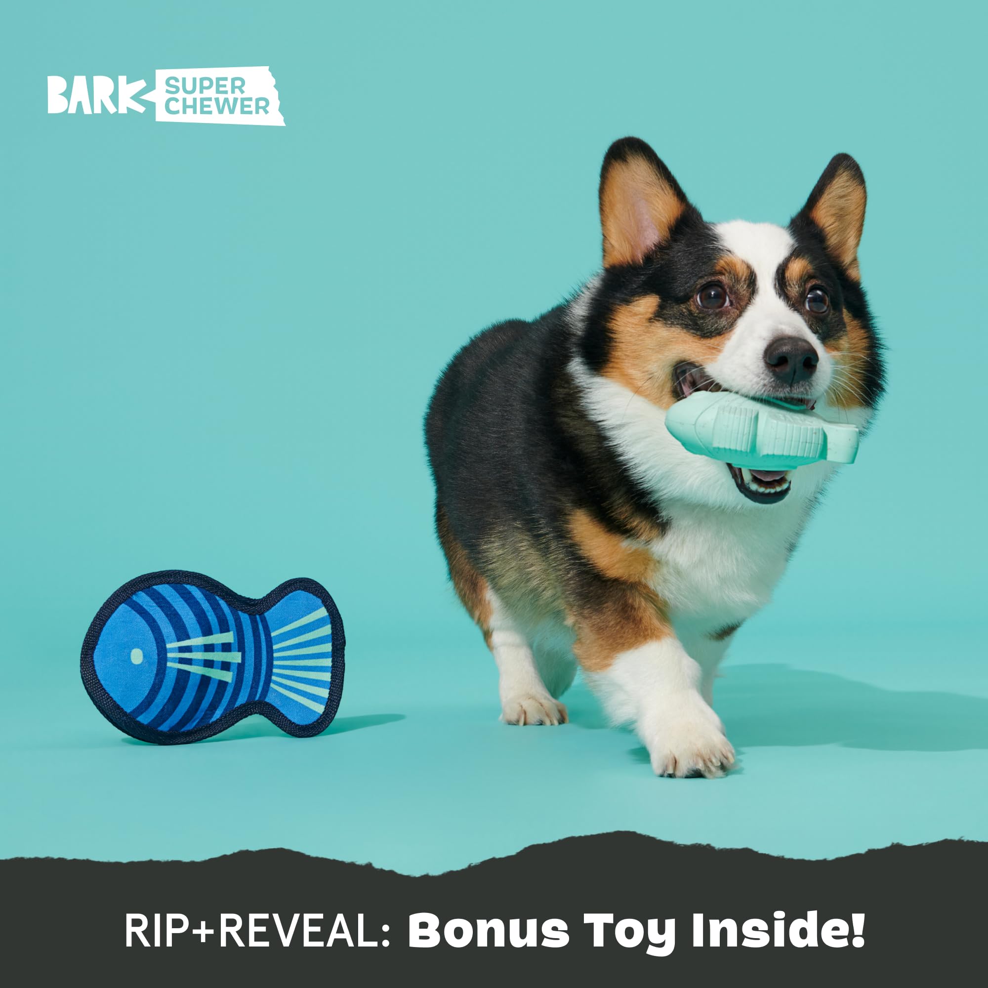 BarkBox Rad Herring indoor-outdoor toy for varied play settings