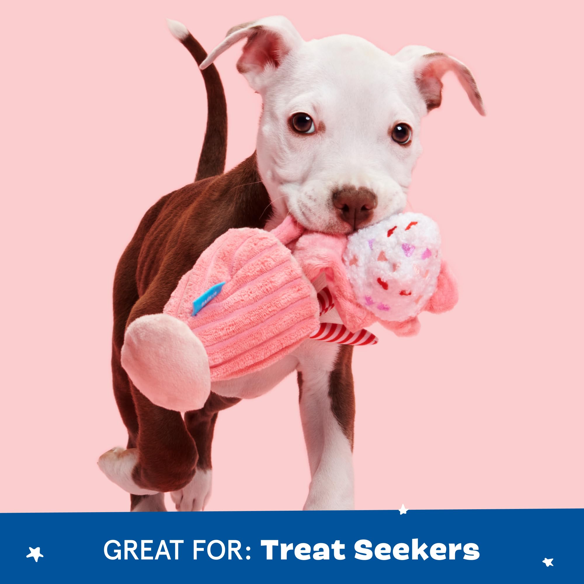 BarkBox internal disc squeaker sustains engagement during playtime