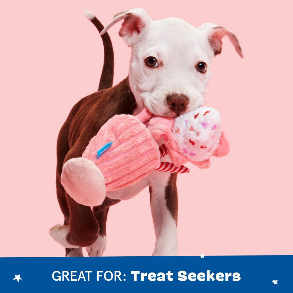 BarkBox internal disc squeaker sustains engagement during playtime