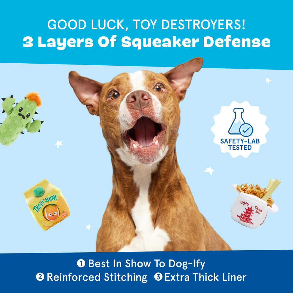 BarkBox ideal for play or fetch, encouraging active bonding