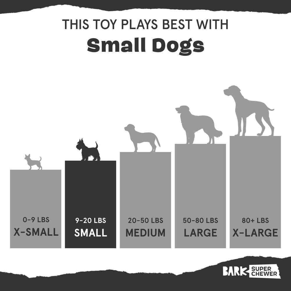 Barkbox small-size turkey drumstick suits small dogs' chew sessions.