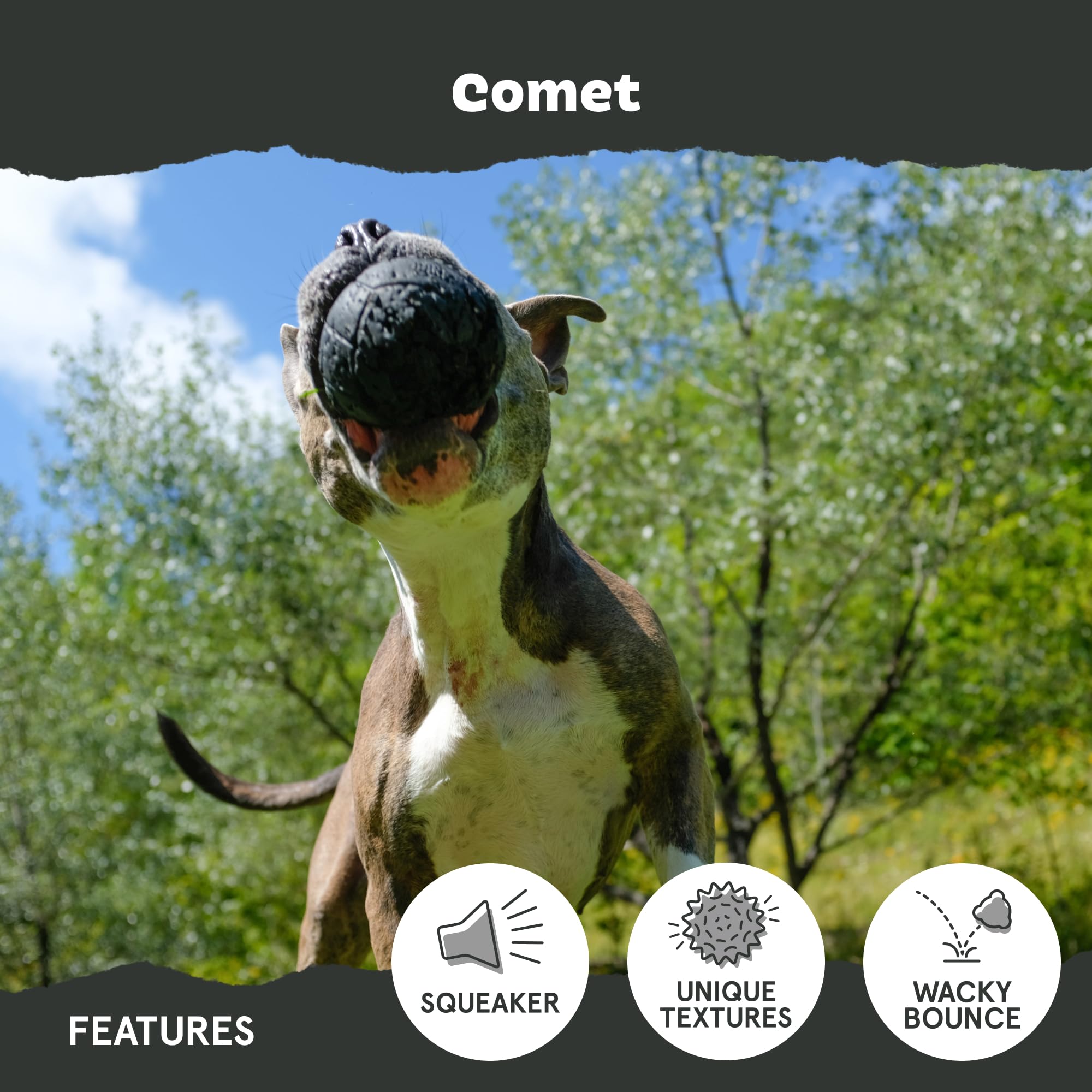 Interactive design features on BarkBox Comet-Small for engaging play