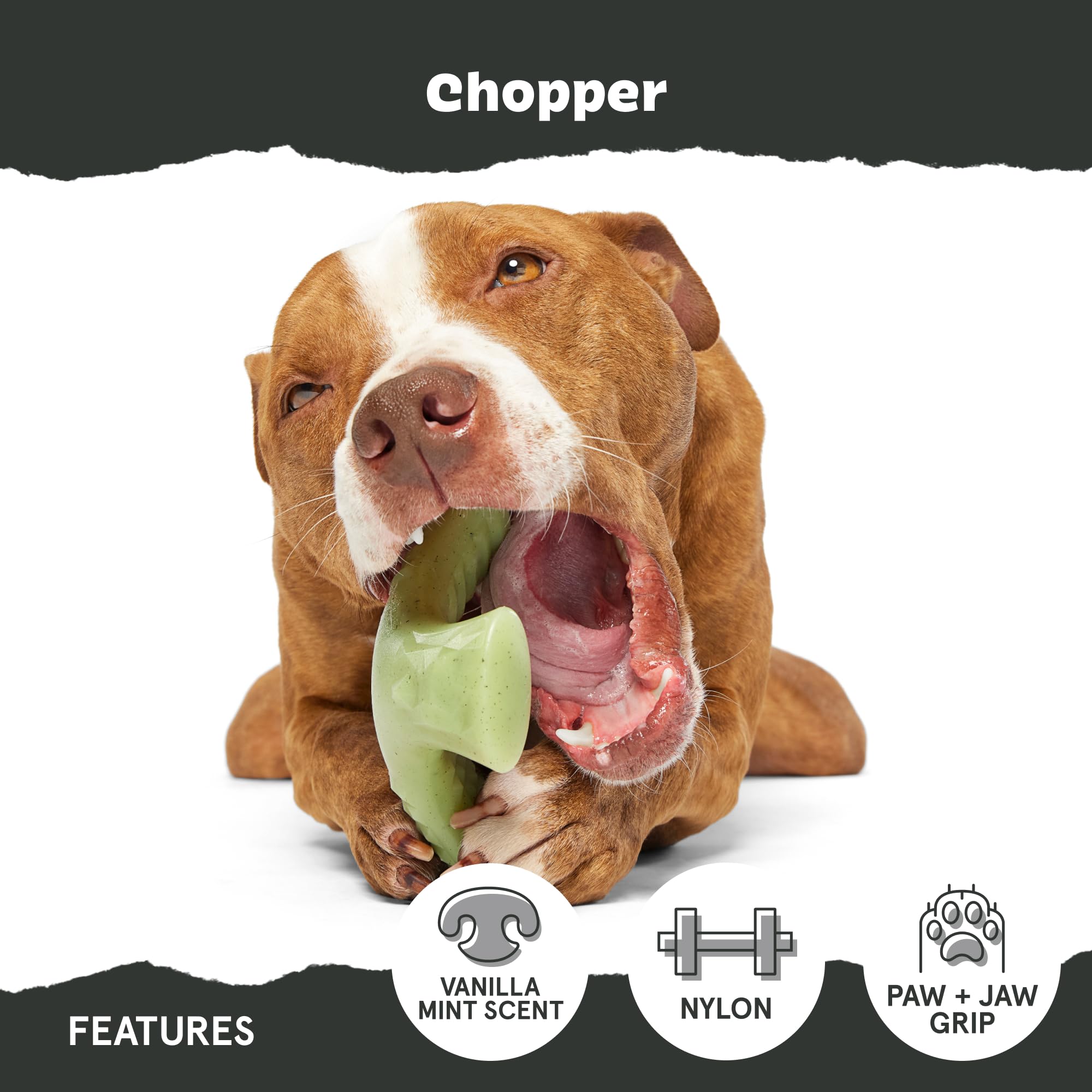 BarkBox Super Chewer design keeps play mess-free without ropes or stuffing.