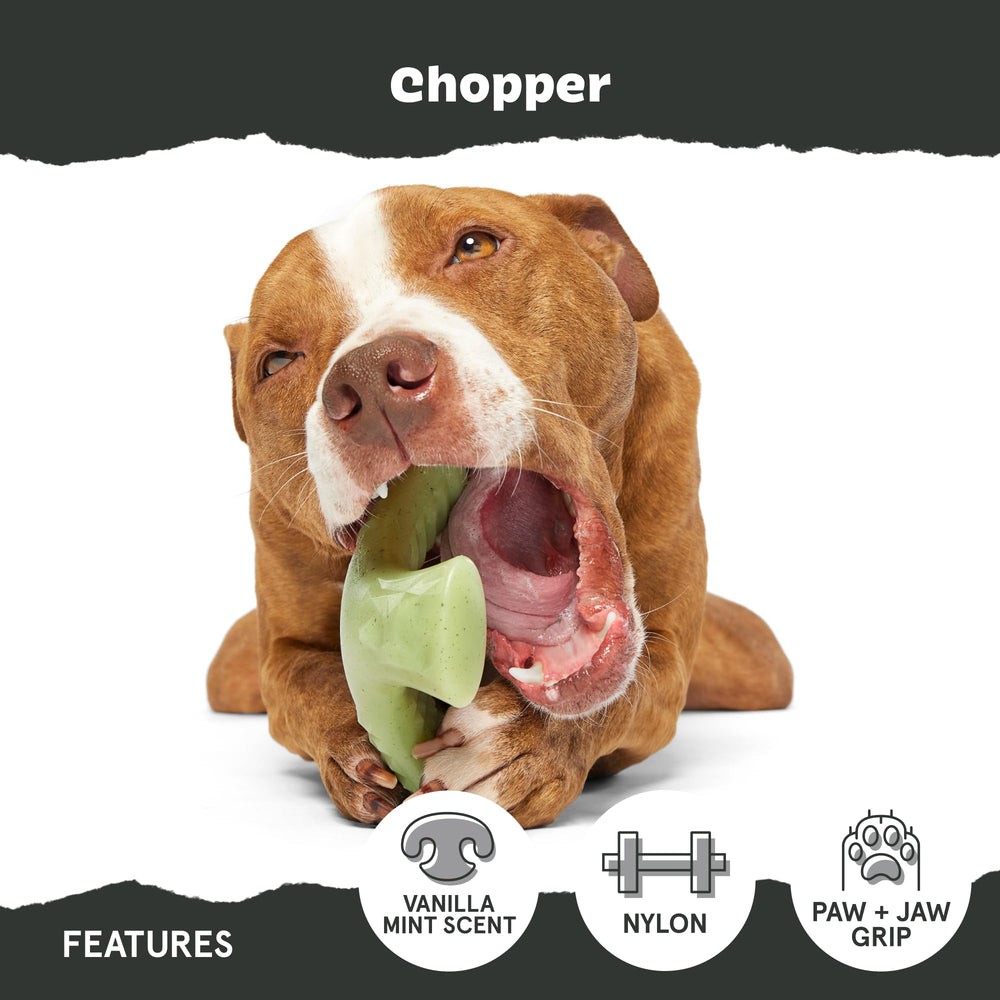 BarkBox Super Chewer design keeps play mess-free without ropes or stuffing.