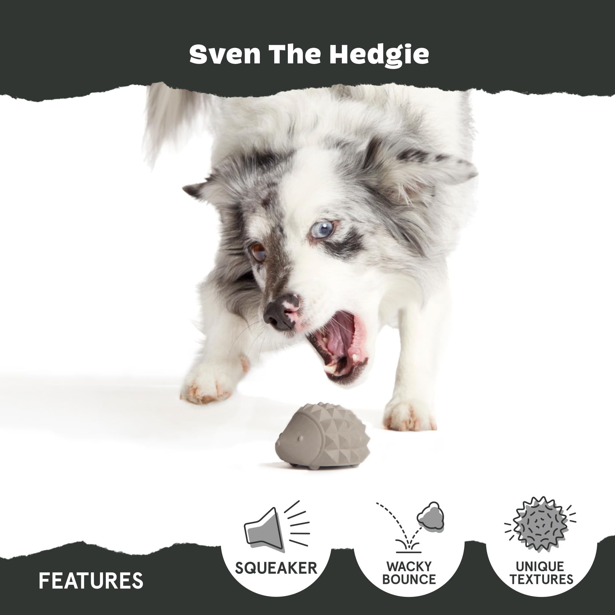 Rippled texture on Sven the Hedgie provides tactile chewing appeal