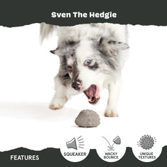 Rippled texture on Sven the Hedgie provides tactile chewing appeal