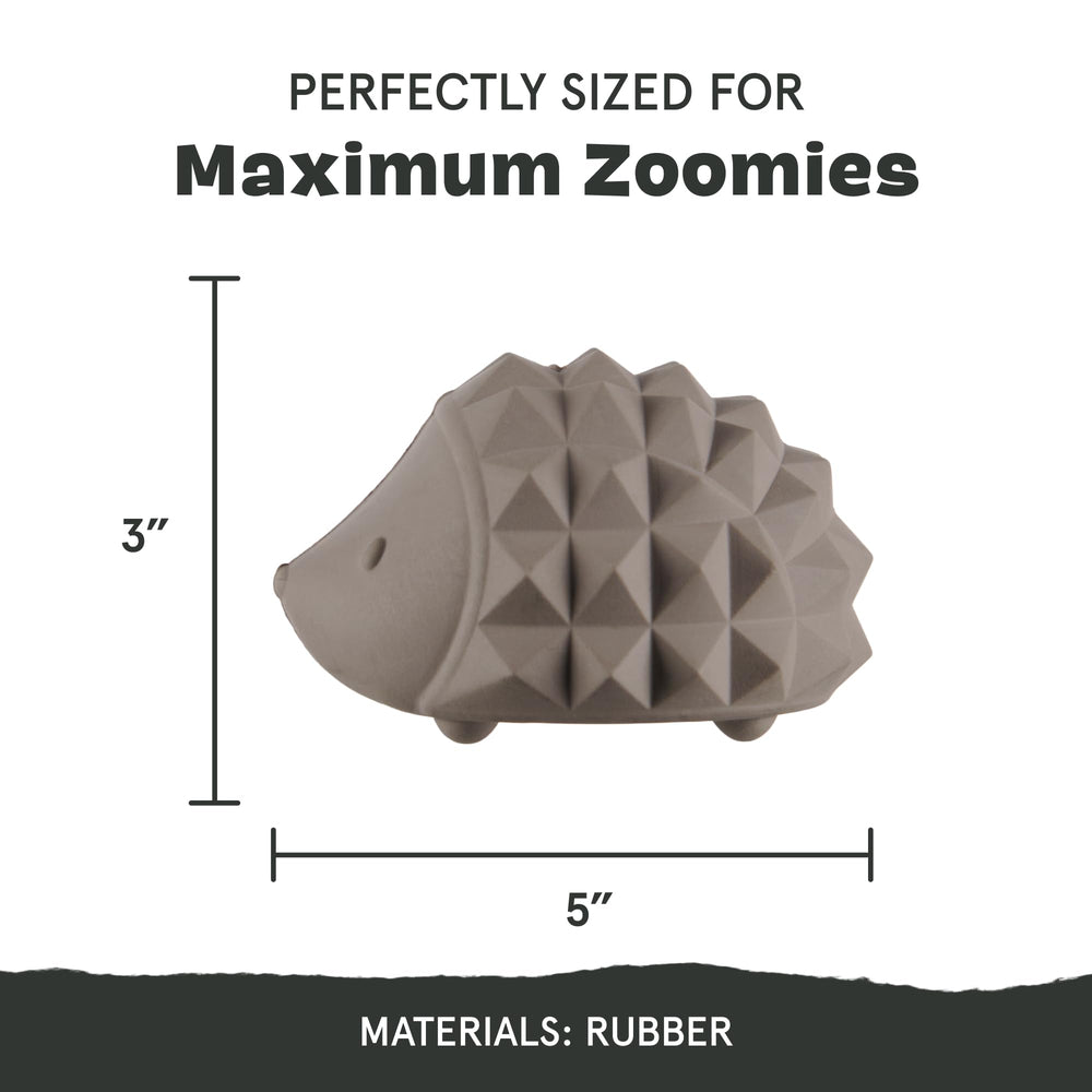 Sven the Hedgie's wacky bounce enhances fetch and play sessions