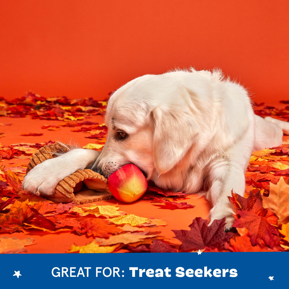 BarkBox Them Apples indoor-outdoor design suits versatile play spaces.