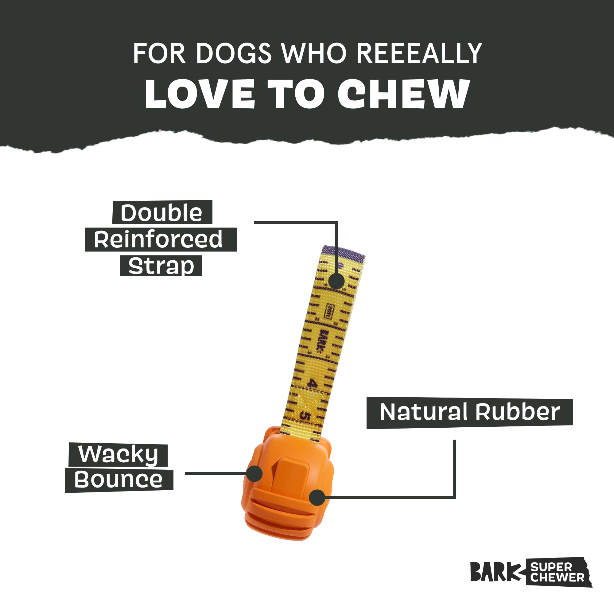 BarkBox Tug Measure nylon strap design ideal for sturdy tugging.