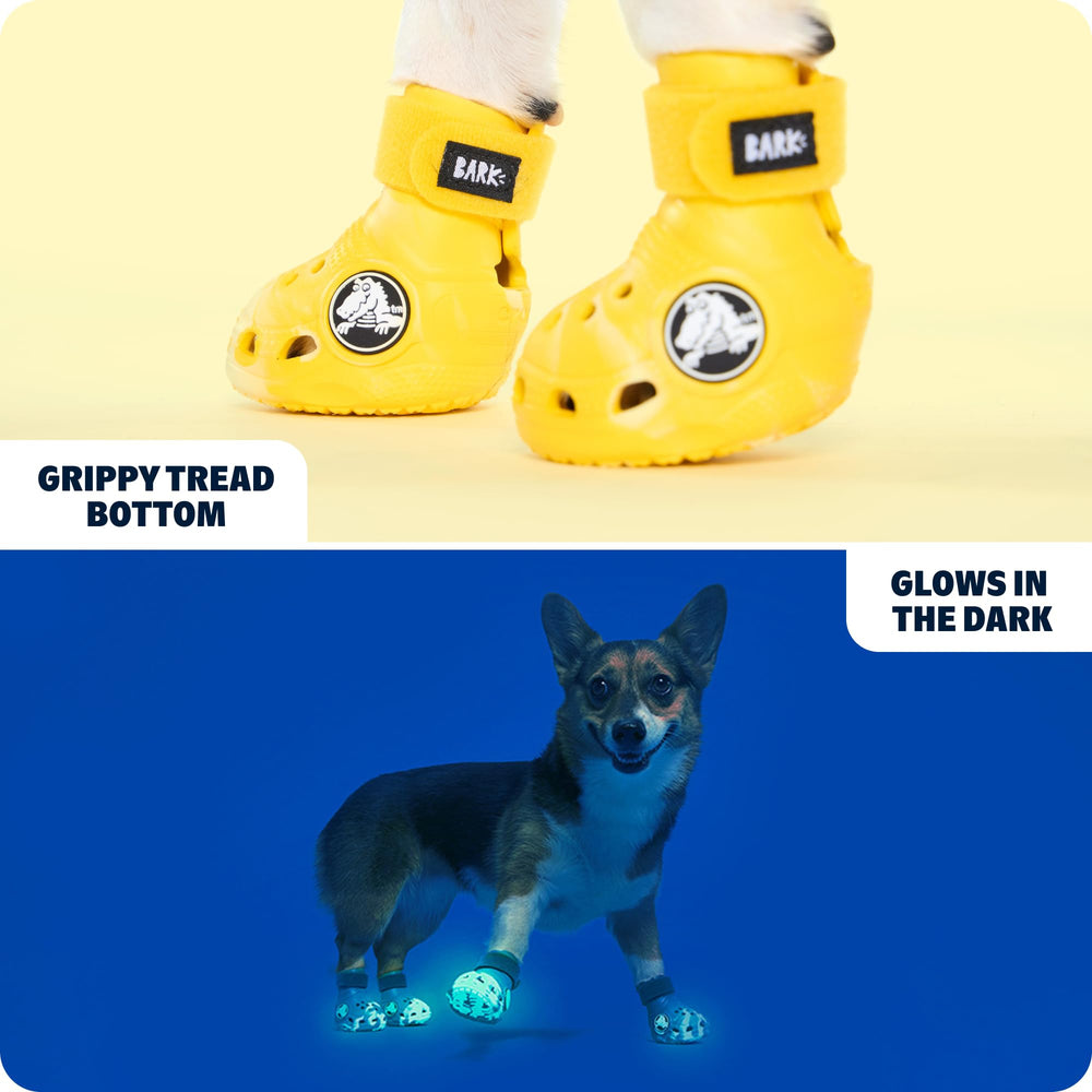 BarkBox non-slip sole provides traction on sidewalks and grass for confident steps