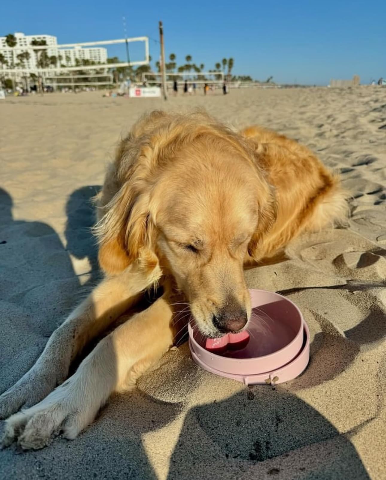 Barkin' Trails travel dog bowls blush color add cute style to outdoor trips.