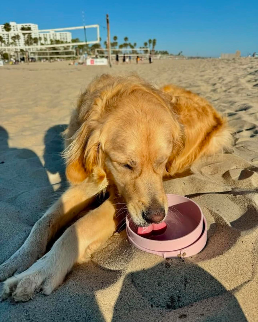 Barkin' Trails travel dog bowls blush color add cute style to outdoor trips.