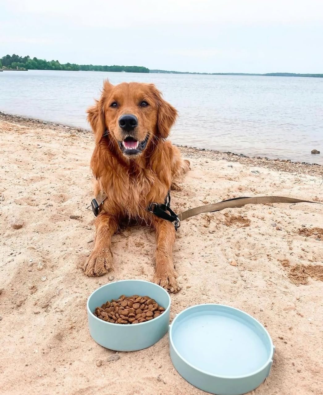 Barkin' Trails color options in Blush and Icy Blue add style to outdoor dining
