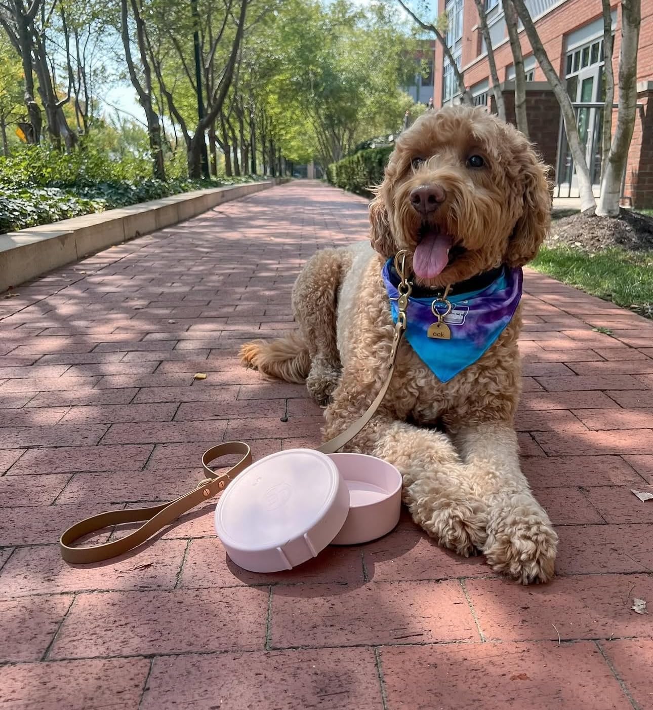 Barkin' Trails travel dog bowls icy blue color stand out in your gear bag.