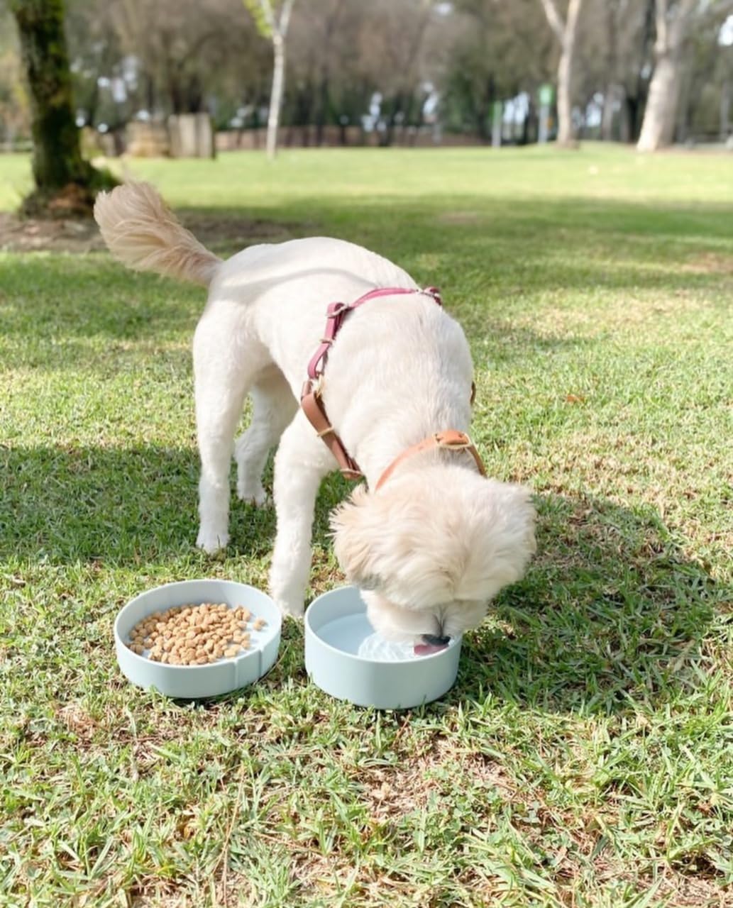 Barkin' Trails bowls with strap kept together for portability