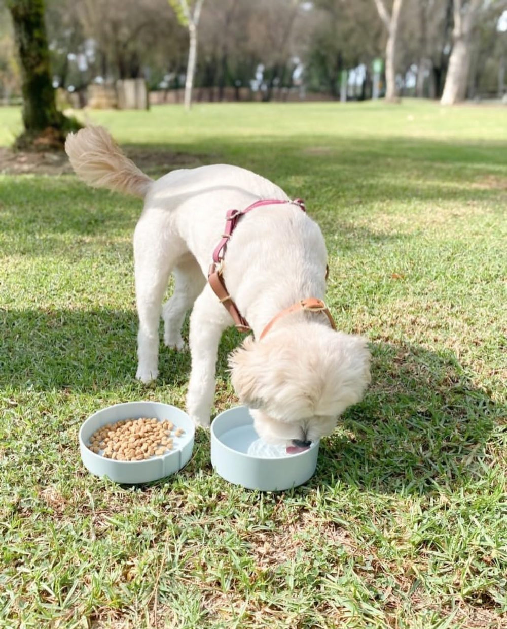 Barkin' Trails bowls with strap kept together for portability