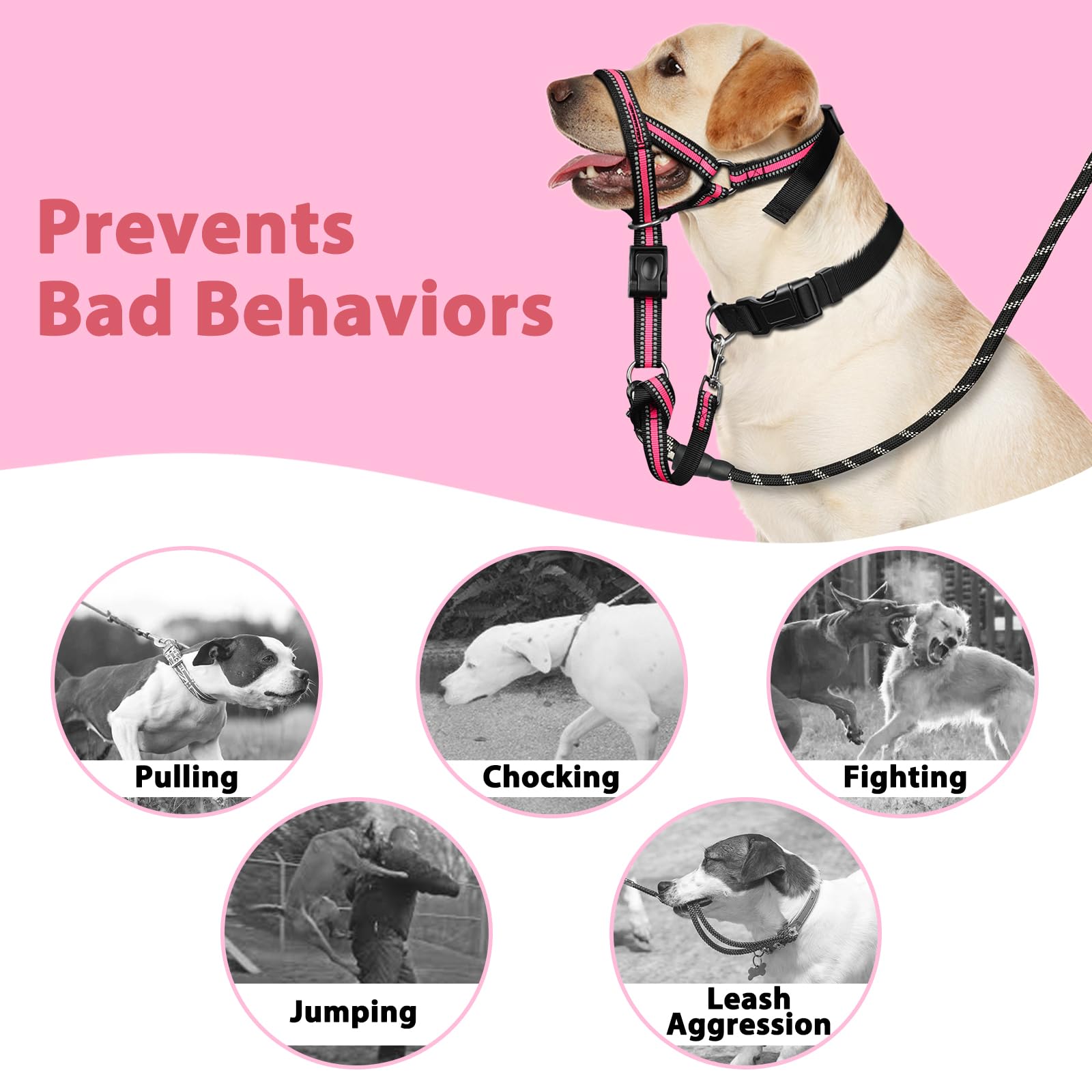 BARKLESS adjustable shoulder strap ensures comfortable fit for all sizes.
