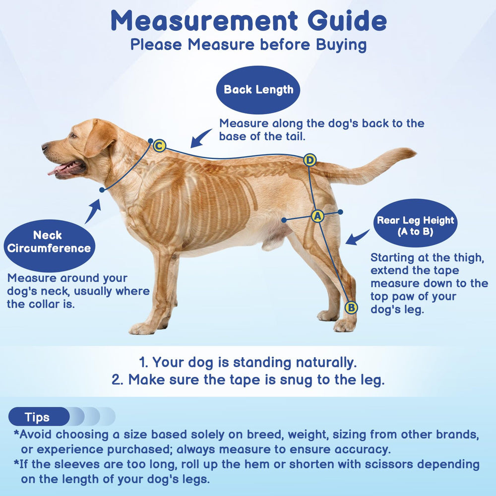BARKLESS adjustable straps around neck, chest, and rear legs for a secure, customized fit