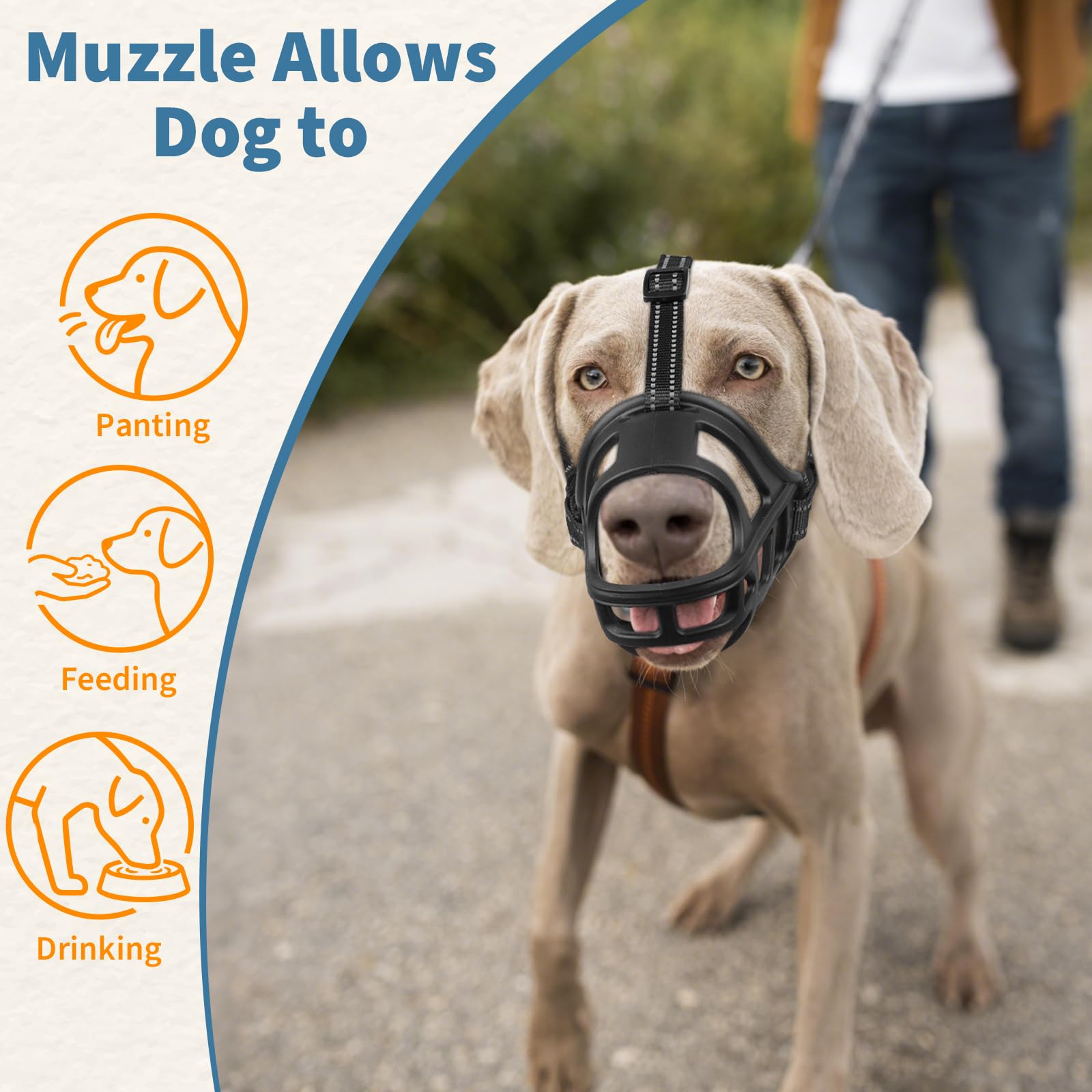 BARKLESS anti scavenging muzzle helps prevent chewing during walks and outings.