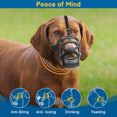 Adjustable straps on the BARKLESS muzzle ensure a secure fit.