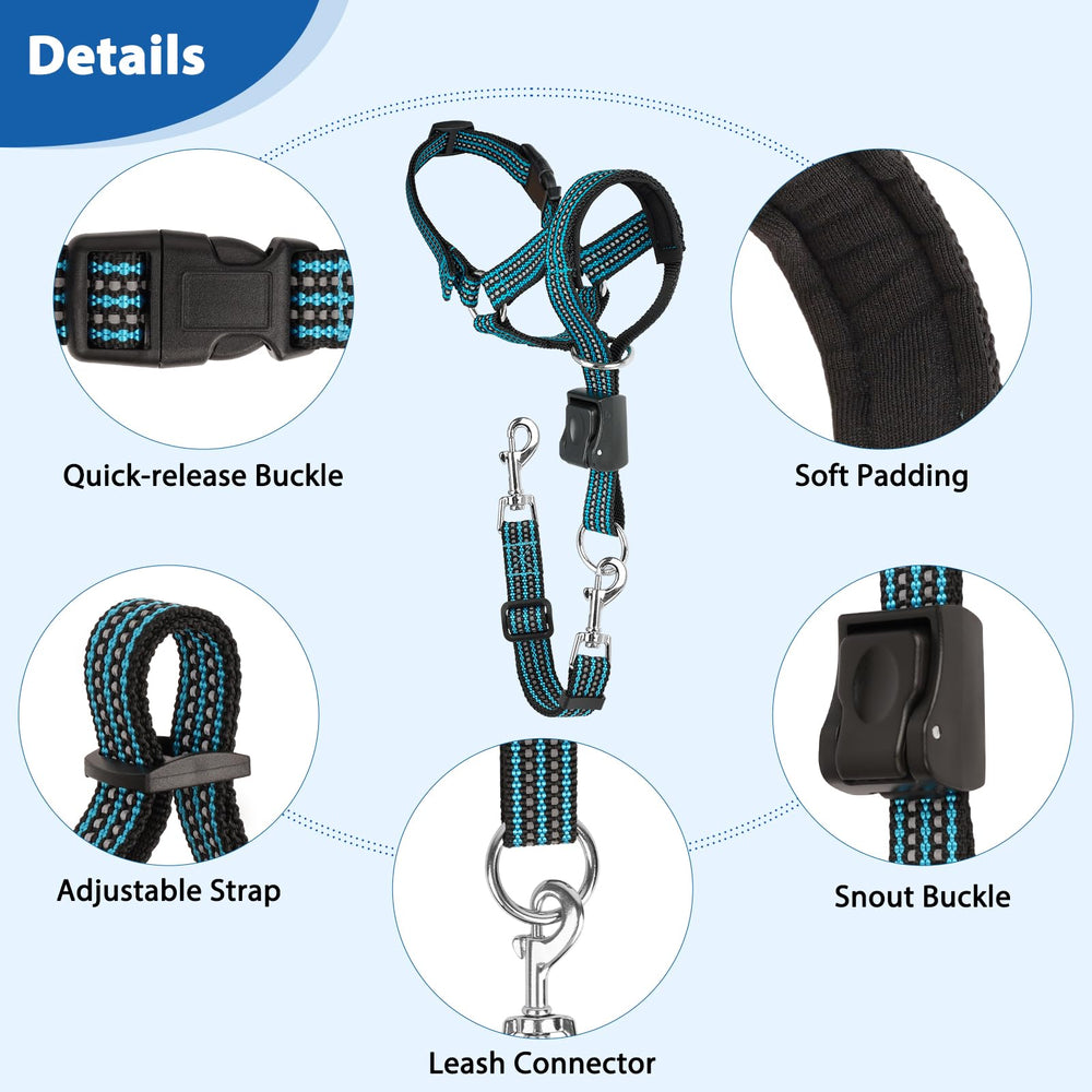 BARKLESS Packaging and branding highlight the no-pull head collar.